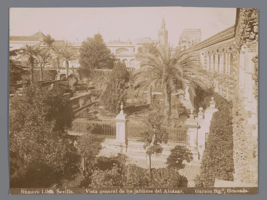 Une photographie du XIXe siècle des jardins de l'Alcázar, palmiers au-dessus des murs