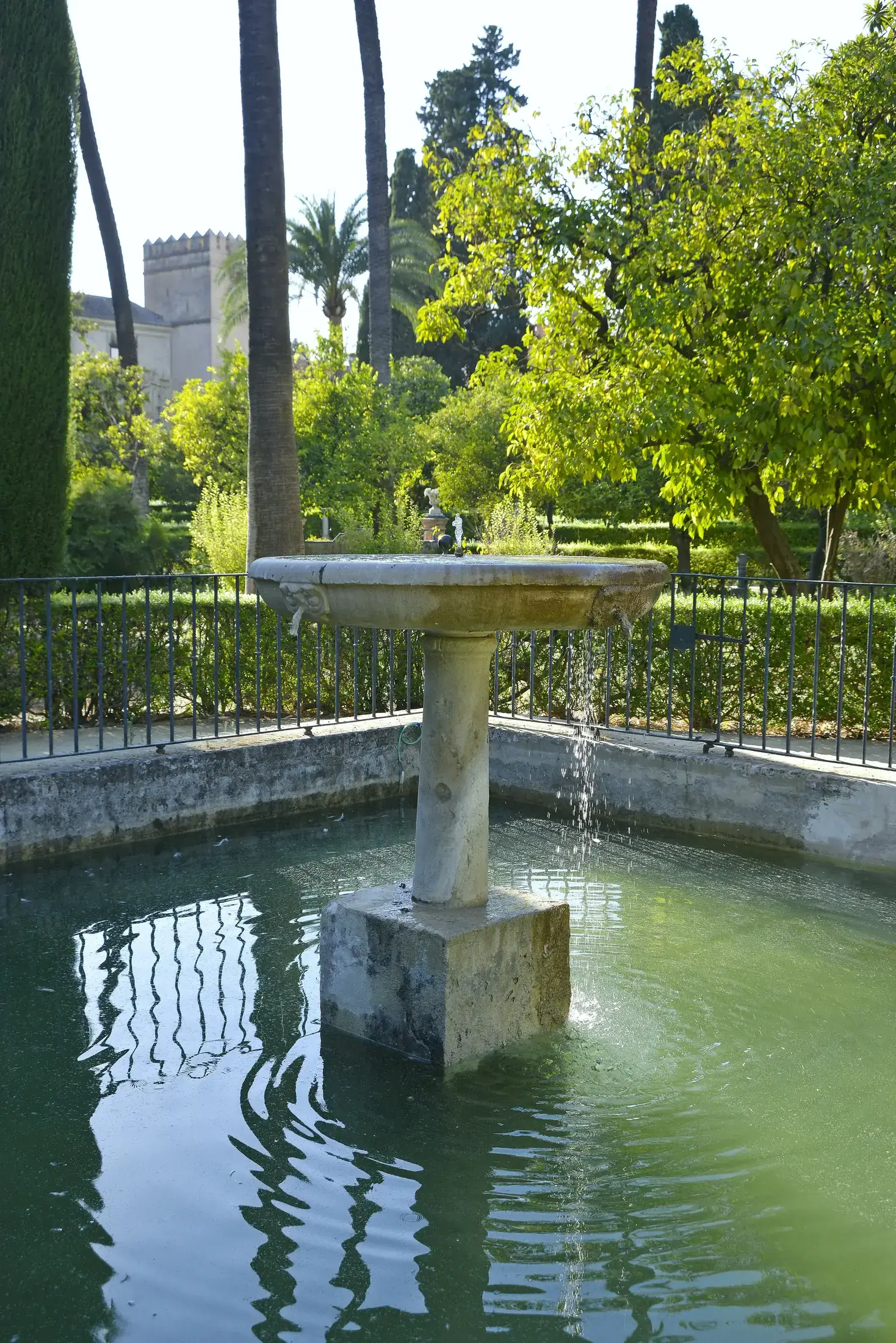 Ein Steinbrunnen in einem grünen Becken in den Gärten des Real Alcázar, Bäume schließen sich dahinter