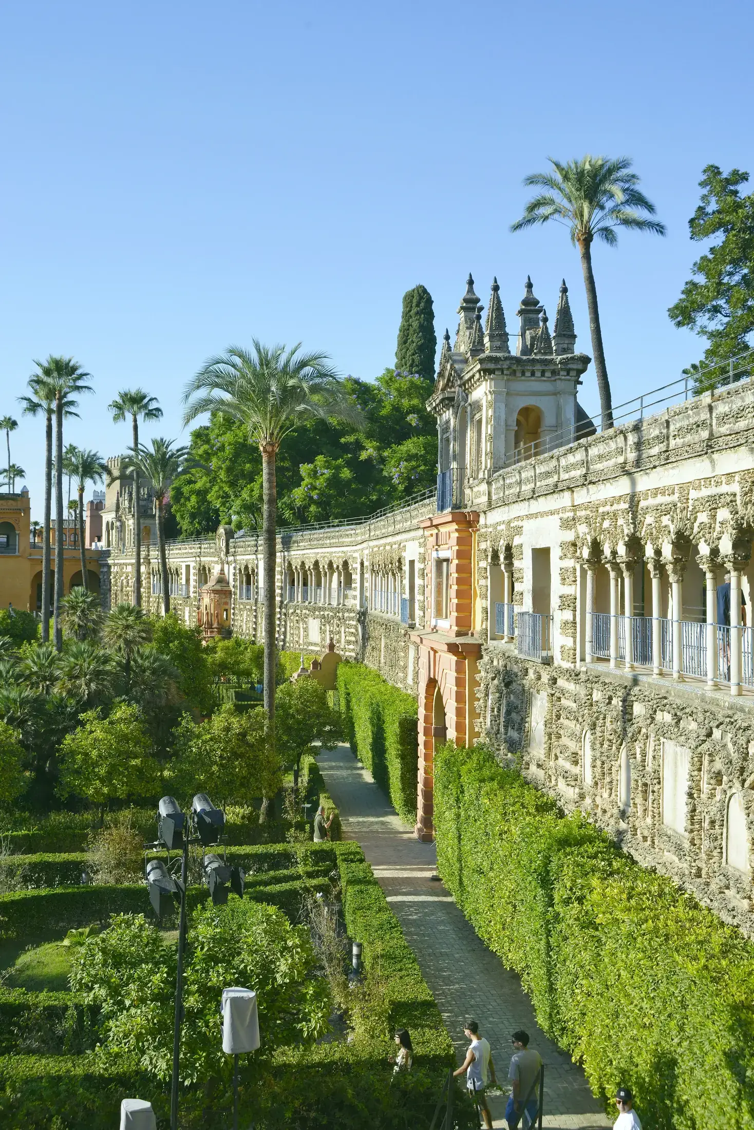 Die Gärten des Real Alcázar entlang der Grutesco-Mauer, Buchsparterres und Palmen unter klarem Himmel