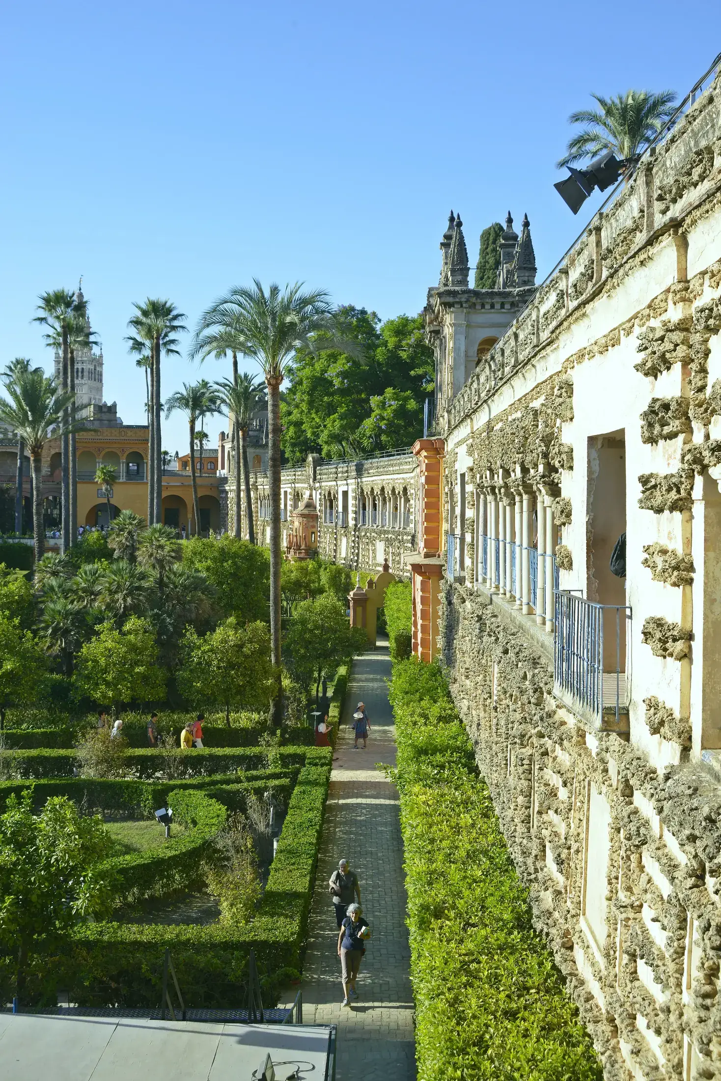 Die Gartenterrassen des Alcázar vom erhöhten Weg aus, Hecken, Orangenbäume und Palmen in Reihen