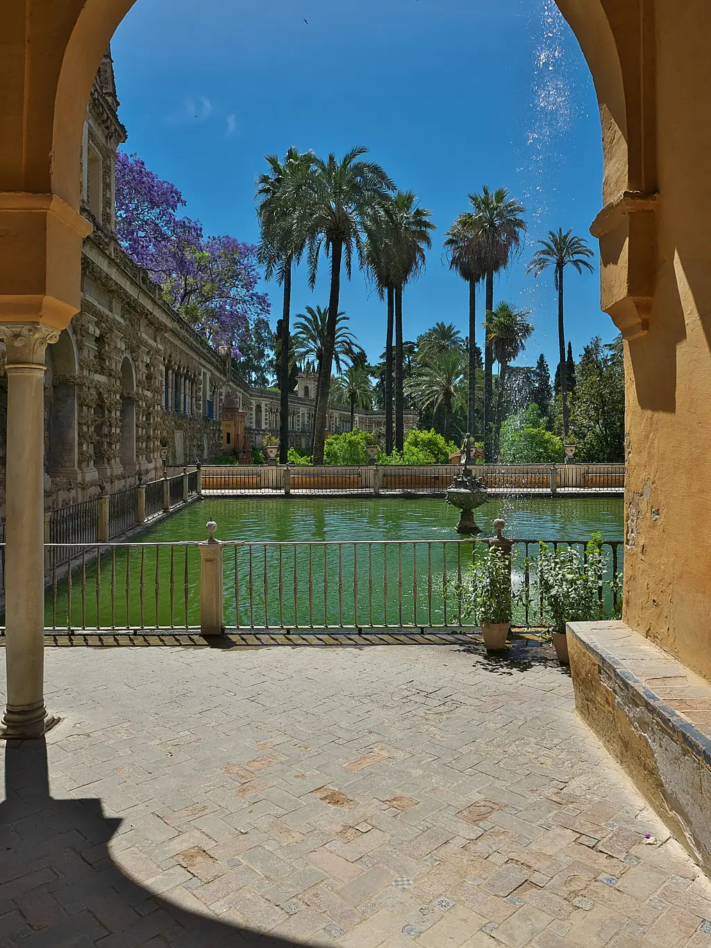 The Mercury Pool and palm trees seen through an arch of the Alcázar gardens